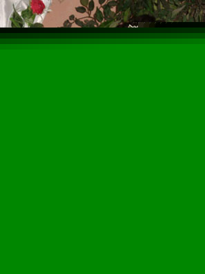 fig8